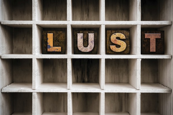 The word LUST written in vintage ink stained wooden letterpress type in a partitioned printer's drawer