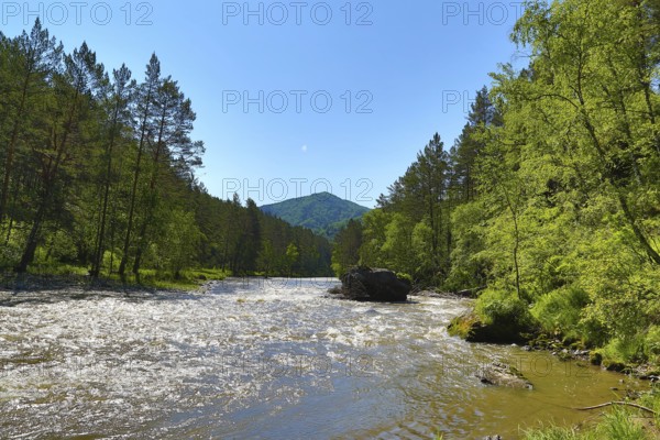 Mountain river Sema landscape in Siberia, Altai, Russia, Europe