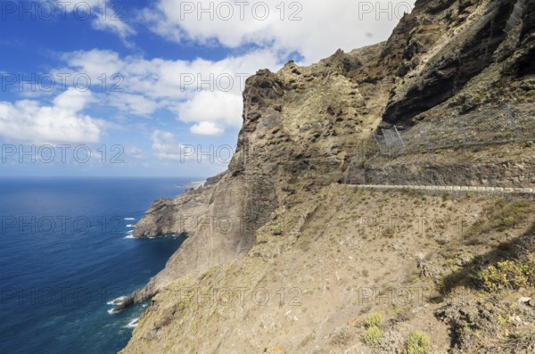 Scenic coastline landscape, Punta de Teno, Tenerife Canary Island, Spain, Europe