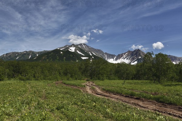 Nature of Kamchatka Peninsula: forest road in mountains on sunny day. Russia, Far East, Kamchatka Peninsula