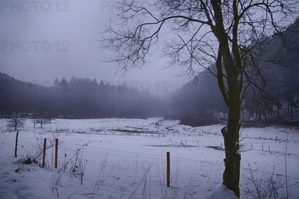 Winter landscape in the fog