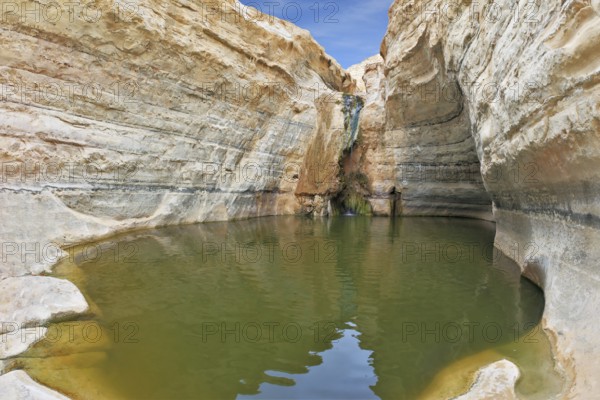 Canyon Ein Avdat in Israel. Sandstone canyon walls form round bowl. Thin jet waterfall form cold lake