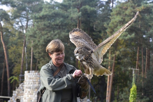 Falconer Simm-Schönholz with eagle owl willi
