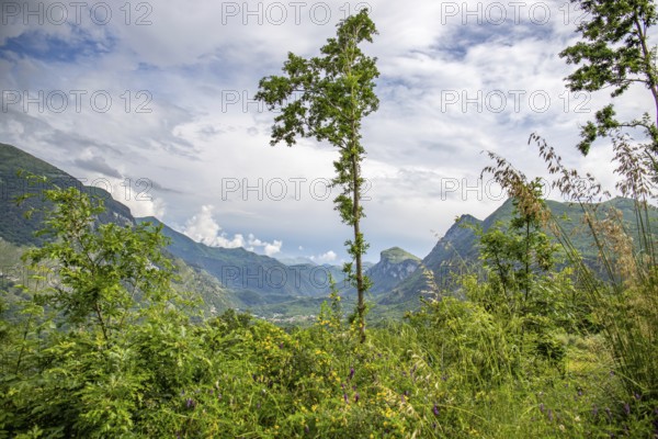 Coastal landscape shot. View from a road leading through a mountainous landscape and breathtaking green Mediterranean scenery. Coast near Salerno, Italy, Europe