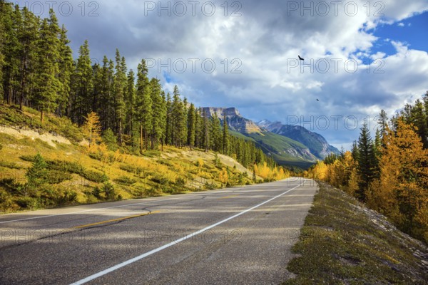 Excellent highway crosses the Rocky Mountains of Canada. Yellow, red and orange leaves adorn the mountain landscape. Northern autumn. Concept of active, environmental and photo tourism