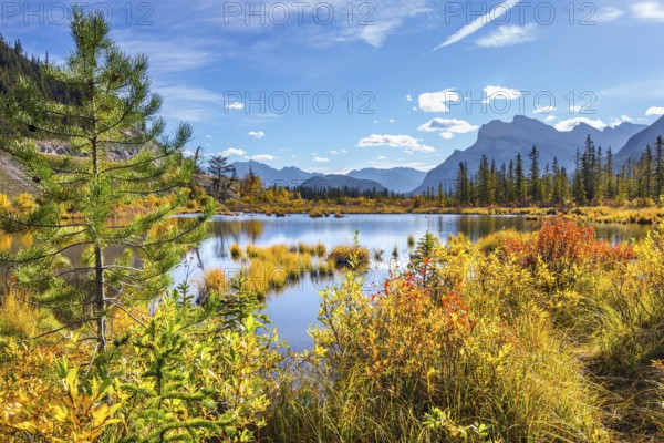 The Rocky Mountains of Canada. The magic of northern Indian summer. Lake Vermillon among yellow autumn aspens. The concept of ecological and photo tourism