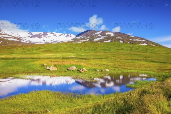 The fields overgrown with fresh green grass. The hills are covered with snow and are reflected in a small lake. Summer Iceland