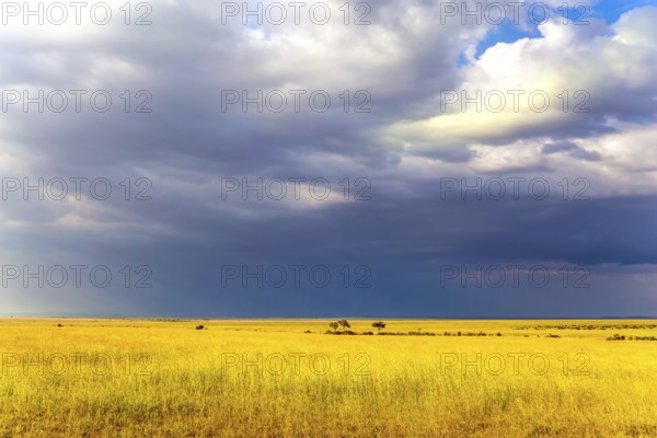 Journey to Africa. Storm clouds over the savannah. The famous Masai Mara Reserve in Kenya. The concept of ecological, exotic, extreme and photo tourism