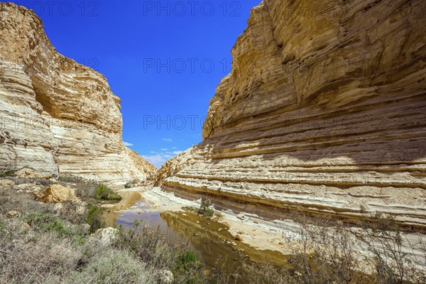 The magnificent gorge Ein Avdat is the most beautiful in the Negev desert. Israel. The ravine is formed by the waters of the Qing River. Start route. The walls of the gorge are corroded by caves