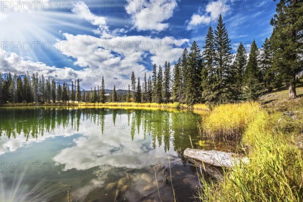 Great morning sun is reflected in the smooth water of the lake. On the shores of the lake grow coniferous forests. Jasper National Park in the Rocky Mountains