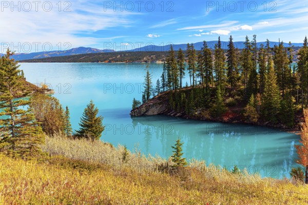 Lake with picturesque blue water, arose due to the blocking of the North Saskatchewan River. This artificial lake was formed as a result of the construction of the Bighorn Dam. Canadian autumn