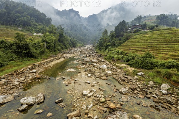 Misty mountain landscape with river and green rice terraces, surrounded by forests, river landscape in the Sa Pa area in Vietnam