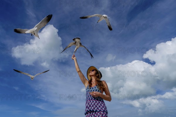 A stunning woman gracefully feeds seagulls on a Caribbean beach, surrounded by turquoise waters and golden sands, creating a picturesque vacation scene, Progresso, Mexico, Central America