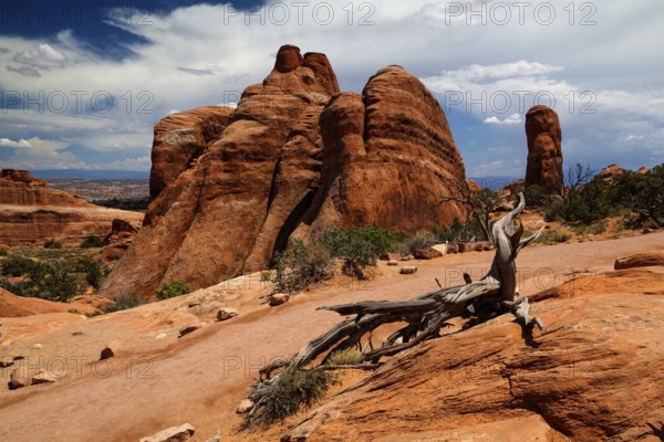 Beautiful rock formations in Arches National Park, Utah, USA, North America