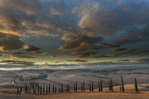 Tuscan hilly landscape with cypresses under a dramatic sky, Asciano, Province of Siena, Tuscany, Italy, Europe
