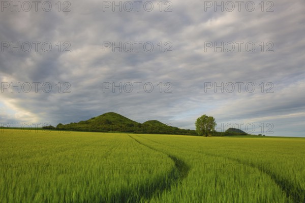 Scenery in Central Bohemian Highlands, Czech Republic. Central Bohemian Uplands is a mountain range located in northern Bohemia. The range is about 80 km long
