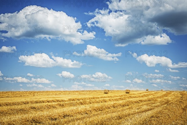 Harvested field of wheat with cloudy sky