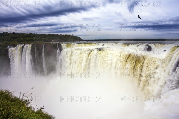 Grandiose waterfalls Iguazu in the rainy season - the Devil's Throat. Over the rumbling waterfall Andes condors fly. Concept of active and photographic tourism