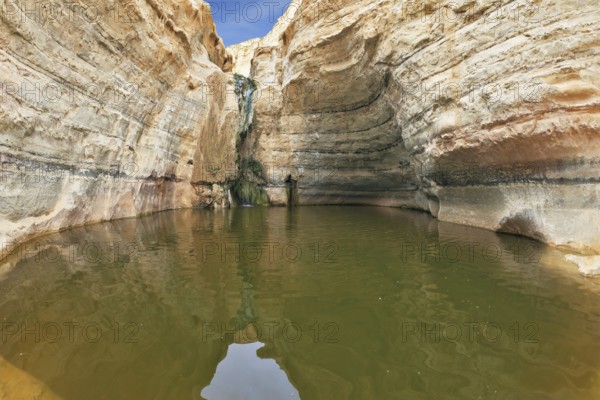 Clean cold water in the creek canyon. Sandstone walls apart, like butterfly wings. Picturesque canyon En-Avdat in the Negev desert