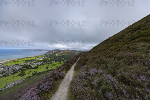 Jubilee circular walk in the mountains by the sea with views of Penmanmwar on the edge of Snowdonia National Park, Penmaenmawr, Dwygyfylchi, Caernarfonshire, Conwy County Borough, Wales, United Kingdom, Europe