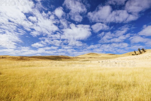 Summer time landscape in the Central Plateau Conservation Area near Ouse in Tasmania, Australia, Central Highlands, Australia, Oceania