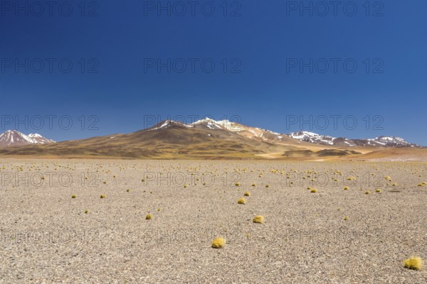 Atacama Desert, Chile. Salar Aguas Calientes. Lake Tuyacto. South America
