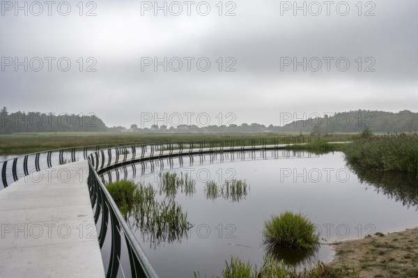 A narrow footbridge winds across a quiet pond of mist under a grey sky, Tureluur bicycle bridge, Texel