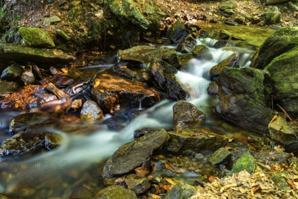 A small stream babbles over rocks in a forest landscape lined with moss, Frauenau drinking water dam, Lower Bavaria