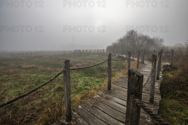 A wooden walkway or footbridge leads through a nature reserve in dense fog. Landscape shot in the middle of nature in autumn. Baldenau castle ruins, Morbach, Hunsrück, Rhineland-Palatinate