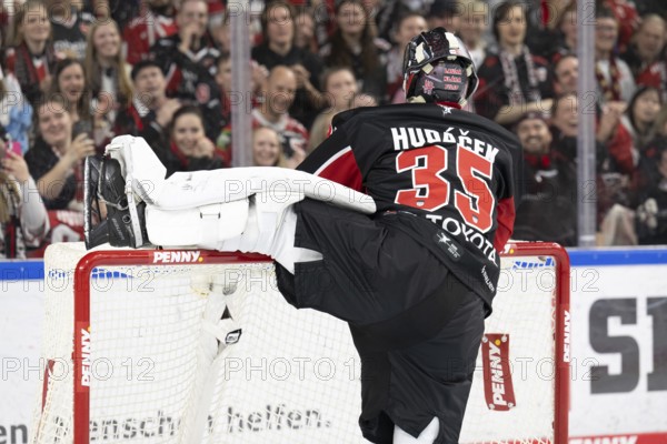 Laura Dick Cologne, LanxessArena, North Rhine-Westphalia, Julius Hudacek (Koelner Haie, #35), PENNY DEL, Kölner Haie-Düsseldorfer EG on 24/11/2024 at the LanxessArena in Cologne Germany