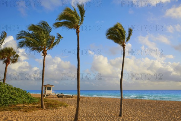 Fort Lauderdale beach morning sunrise in Florida USA palm trees