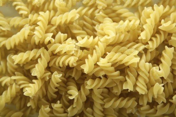 Close-up of italian spiral yellow pasta texture as background