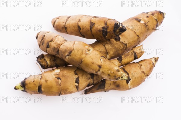 Raw Whole Jerusalem artichokes on a white background