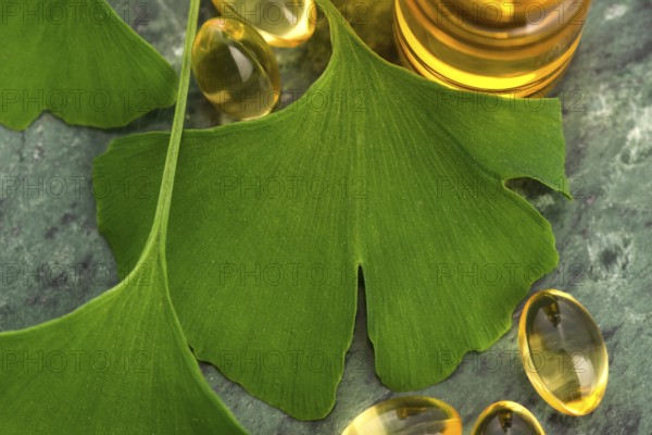 Ginkgo with essential oil