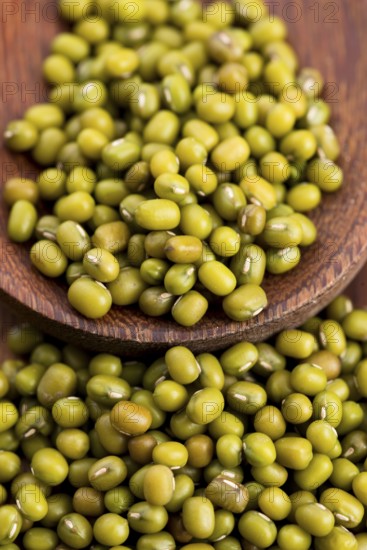 Mung beans over wooden spoon, lodz, poland