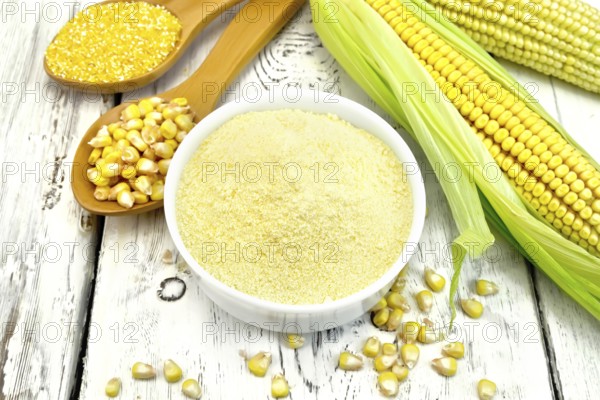 Flour corn in a bowl, groats and grain maize in the spoons, cobs on the background white wooden boards