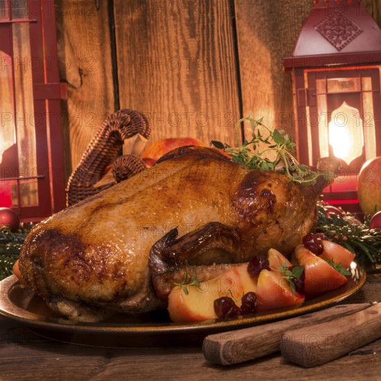 Christmas duck