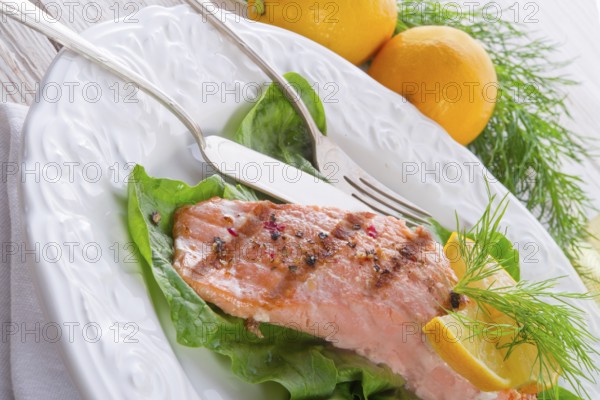 Grilled salmon fillets on spinach
