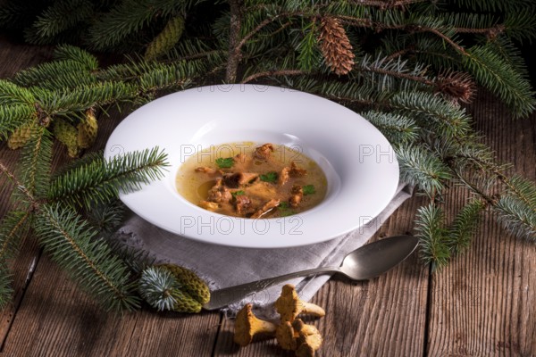 Slight mushroom broth