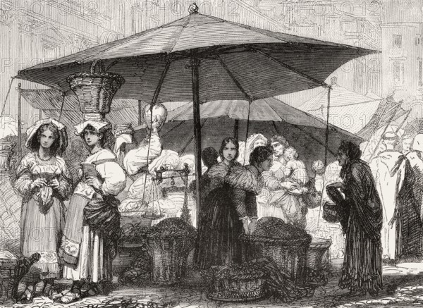 Market at the Piazza Navona, Rome, Italy, 19th Century, Europe