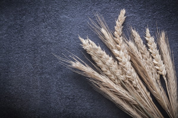 Wheat rye ears on black background top view image