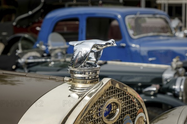 Lisbon, Portugal - Oct 15, 2023: Close-up and selective focus of flying quail bird bonnet mascot on top of hood or bonnet and Ford emblem and logo plate on grille. Radiator cap used only on Ford Model A in 1930s
