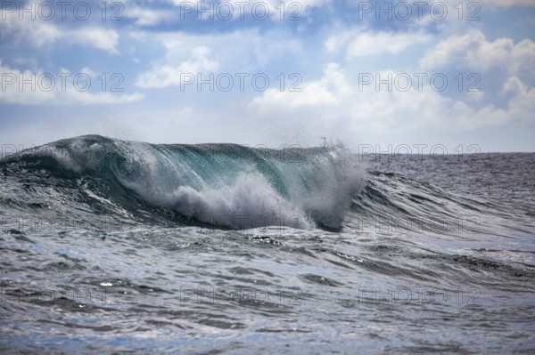 Wave breaks with water turquoise colours as closeup on Hawaii