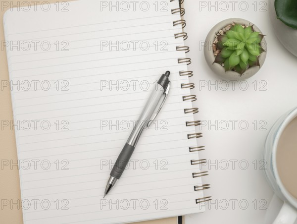Pot with Plant and Cup Standing on Desk. Iinfrormation written on paper