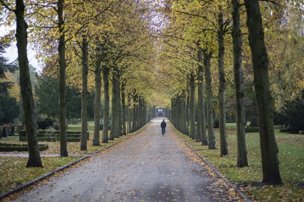 Copenhagen, Denmark, October 27, 2022: People in a tree alley on Vestre Cemetery during autumn, Europe