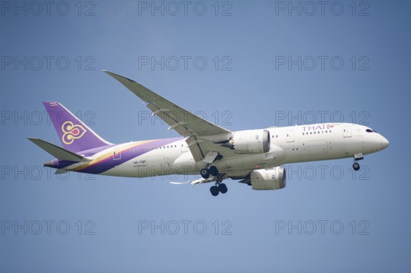 30.07.2023, Singapore, Republic of Singapore, Asia, A Thai Airways Boeing 787-8 Dreamliner passenger aircraft, registration HS-TQF, on approach to Changi International Airport. Thai is a member of the Star Alliance airline alliance, an international network of airlines, Asia