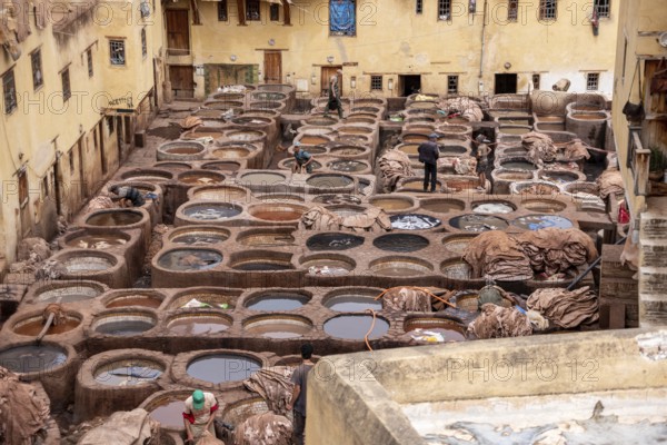Famous tannery in the medina of Fes, where leather is being processed for generations, Morocco, Africa