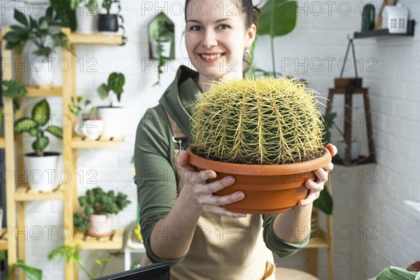 Large echinocactus Gruzoni in the hands of a woman in the interior of a green house with shelving collections of domestic plants. Home crop production, plant breeder admiring a cactus in a pot