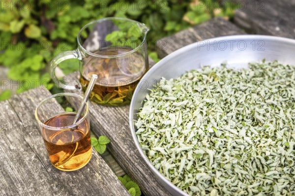 A verbena tea on old wooden planks
