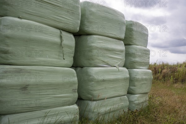 Silage packed in green plastic for cows in the north of the Netherlands